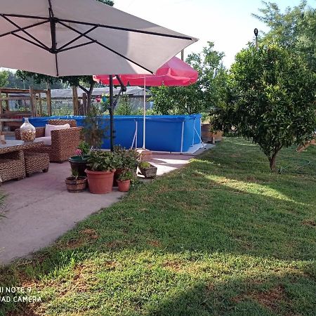 Cabana Corazon De Colchagua Sta Cruz Apartman Nancagua  Kültér fotó